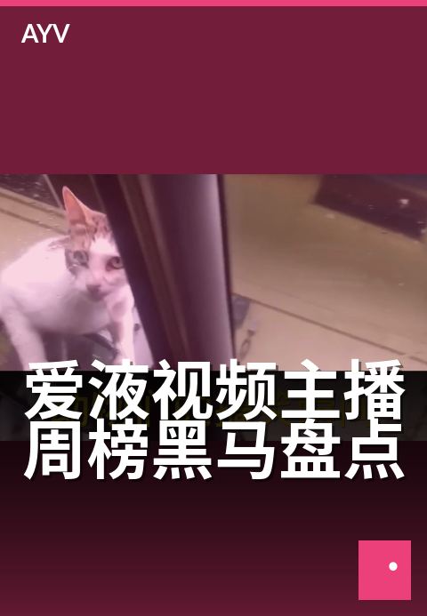 爱液视频主播周榜黑马盘点 - 新晋主播流量飙升内幕