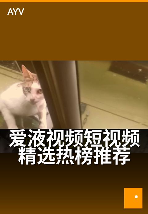 爱液视频短视频精选热榜推荐 - 今夜必看，甜蜜心动瞬间