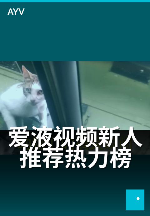爱液视频新人推荐热力榜 - 本月新人火热出镜，速来围观