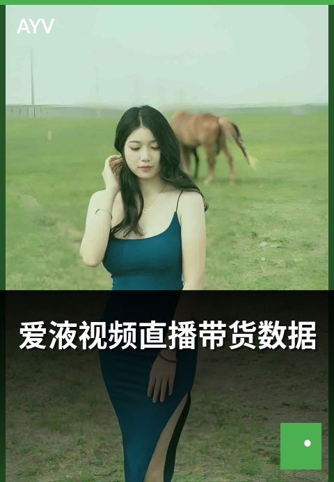 爱液视频直播带货数据 - 直播带货 GMV 数据与品类分布