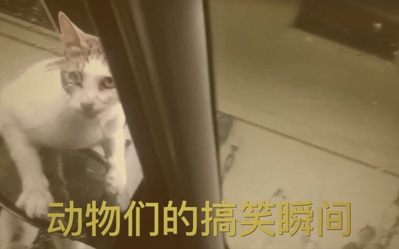 摄影师与客户在工作室灯光下查看相机屏幕，讨论拍摄构图与光线