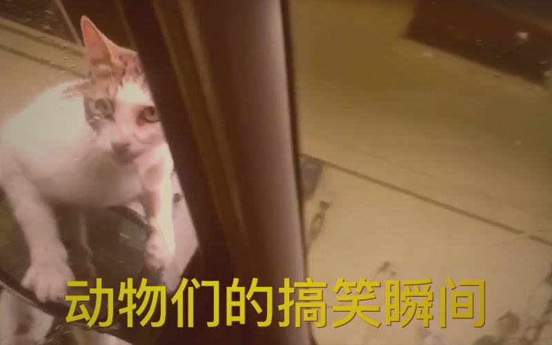 爱液视频精选主播才艺秀现场表演场景