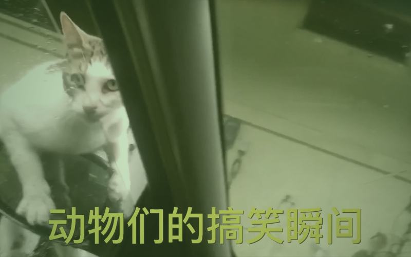 爱液视频主播周榜人气飙升趋势图